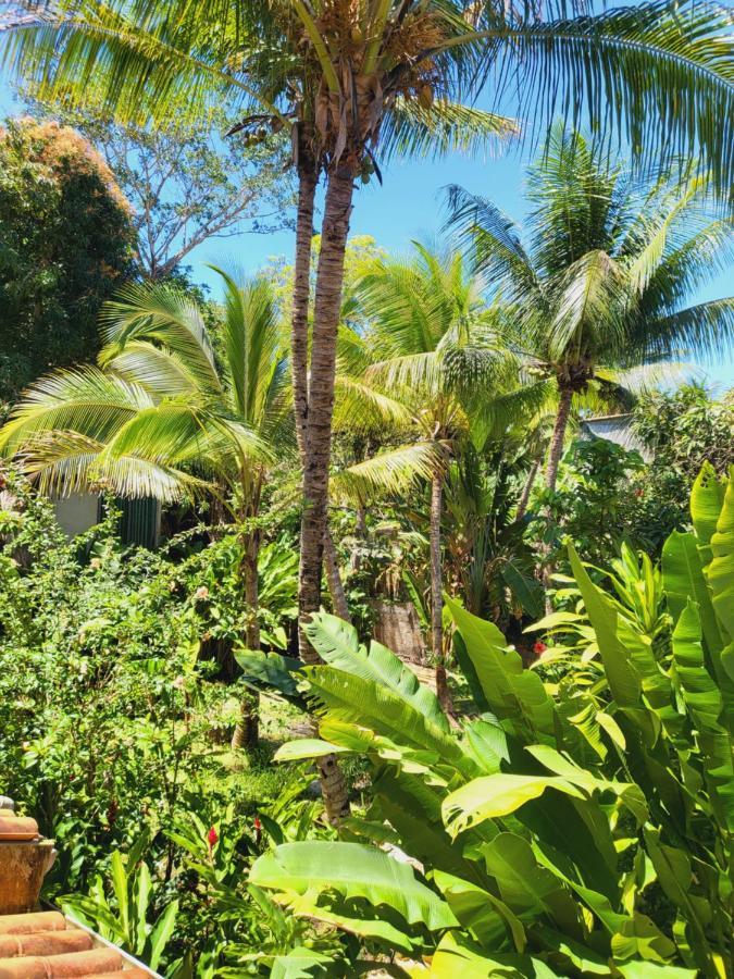 Pousada Velha Boipeba Empresa Acanhtica Boipeba Island Buitenkant foto